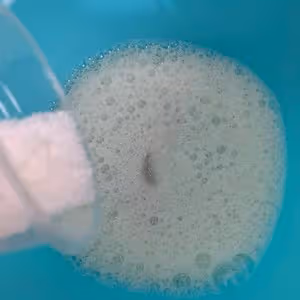 6寸戚風蛋糕（蛋糕胚）