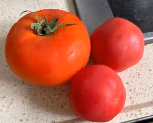 上腦牛肉粒番茄煲