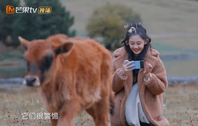 苗苗自曝是男孩性格,錄節目卻自卑不合群,拒絕跟其他妻子逛市場