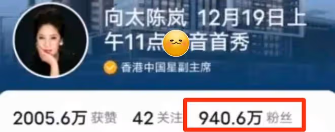 吉祥物人形立牌？向太直播一晚上賣3億背後，是為向佐郭碧婷鋪路