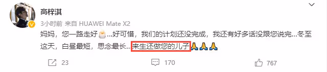 演員高梓淇母親新冠病逝,來世還做您兒子,臨終前想見在韓國孫子