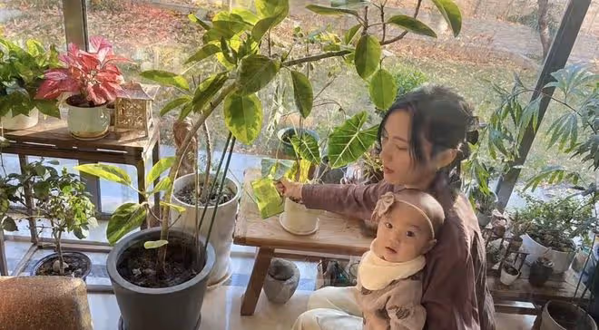 李亞鵬全家新冠康復，海哈金喜曬一家三口互動照，女兒越來越漂亮