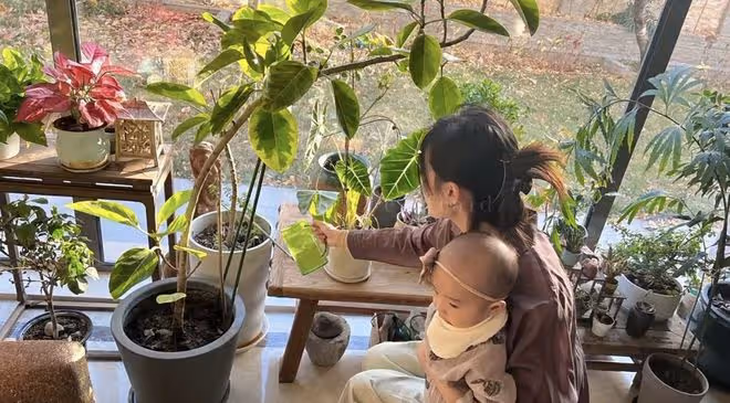 李亞鵬全家新冠康復，海哈金喜曬一家三口互動照，女兒越來越漂亮