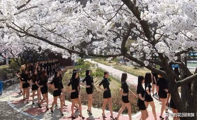 韓國從未整容的女孩,她們究竟長啥樣?實拍韓國的天然女學生