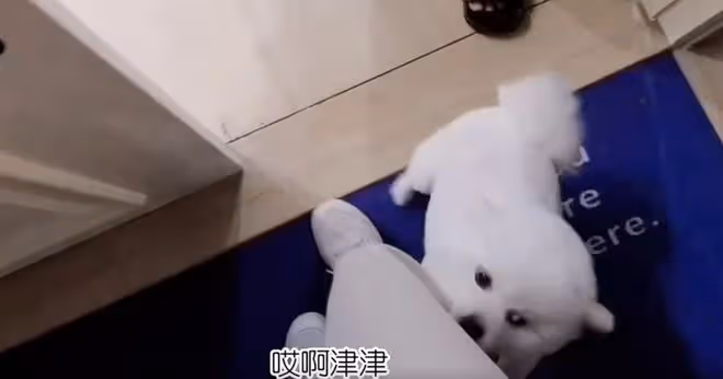 苗苗和娘家人同住，回家不喊爸爸引熱議，鄭愷被調侃像嫁到苗苗家