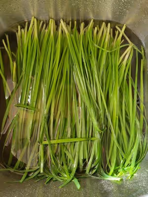 零失敗的韭菜炒雞蛋