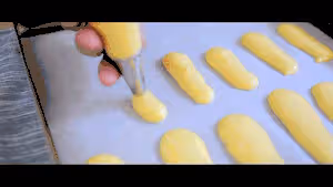 手指餅乾