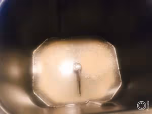 椒鹽花捲及一次醒發的中式面點