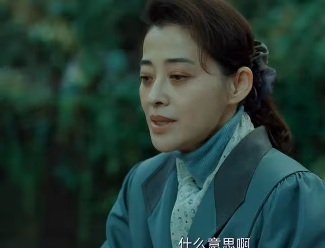 47歲梅婷《回來的女兒》炸裂,為何能再次爆紅?張子楓評價一語中的