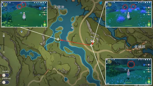 《原神》須彌地區晶蝶捕捉路線