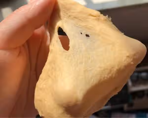 紅薯全麥貝果