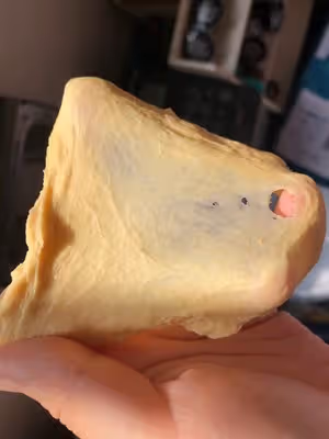 紅薯全麥貝果