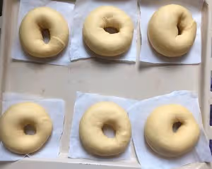 紅薯全麥貝果