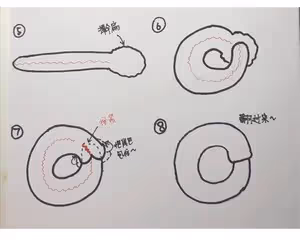紅薯全麥貝果