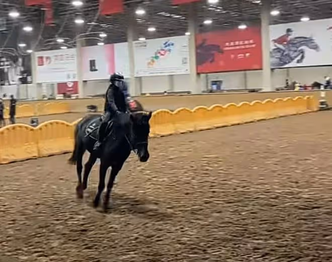 羅嘉良妻子罕曬娃！9歲女兒五官精緻像爸爸，會騎馬跳舞多才多藝