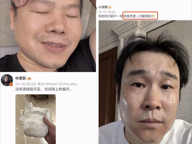 章子怡確診新冠，曬表情包祝大家早日陽康，幽默回應催拍戲的粉絲