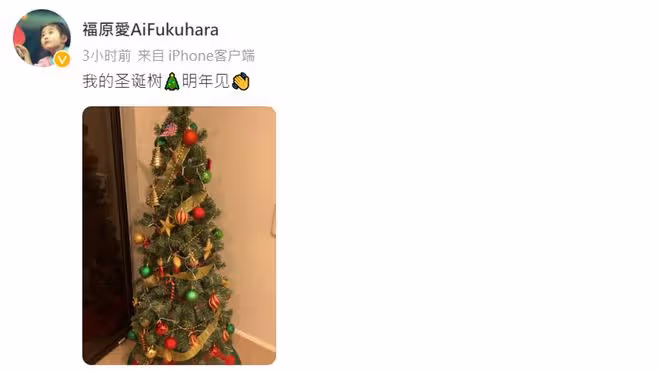 福原愛曬聖誕樹顯冷清，女兒至今不能回到她的身邊