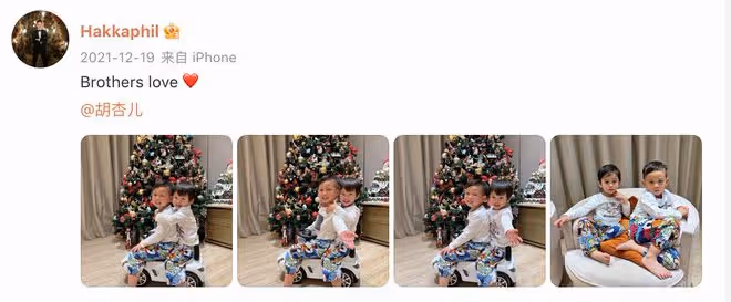 胡杏兒曬全家福，連續多年在一棵聖誕樹前合影，三兄弟牽手超有愛