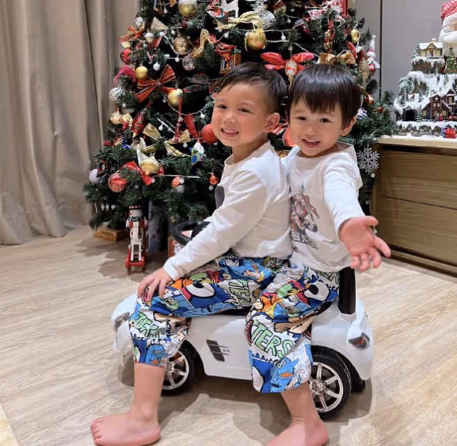 胡杏兒曬全家福，連續多年在一棵聖誕樹前合影，三兄弟牽手超有愛