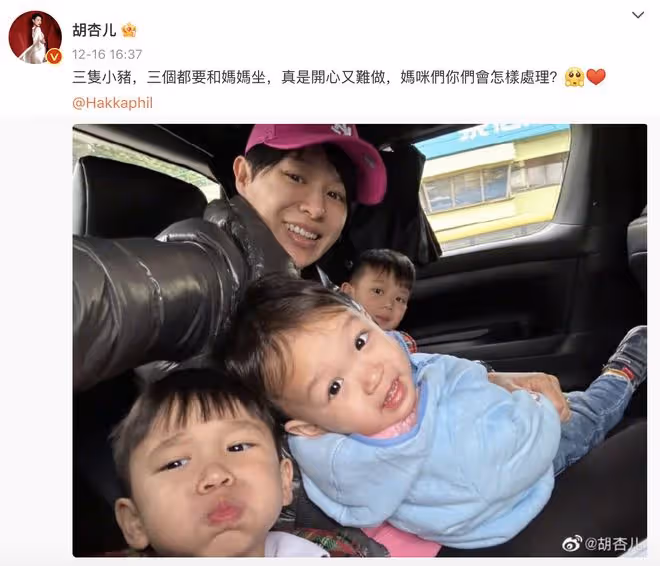 胡杏兒曬全家福，連續多年在一棵聖誕樹前合影，三兄弟牽手超有愛