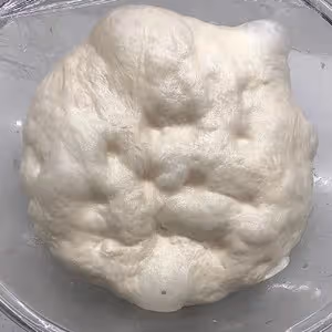 🧁迷你佛卡夏🖼