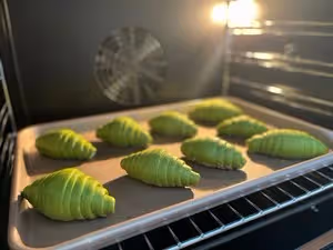 抹茶控｜抹茶紅豆鹽麵包｜海鹽卷｜鹽可頌