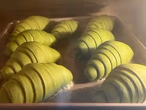 抹茶控｜抹茶紅豆鹽麵包｜海鹽卷｜鹽可頌