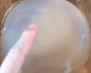 魚鱗凍