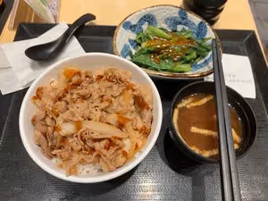 一個洋蔥就能做四份店裡的日式牛肉飯（學會再不去店裡花冤枉錢啦