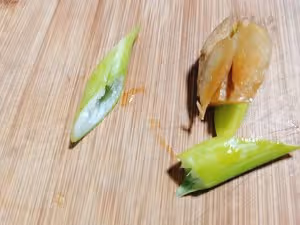 蛋醬菠菜