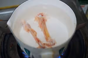 超好吃的香菇燉雞面