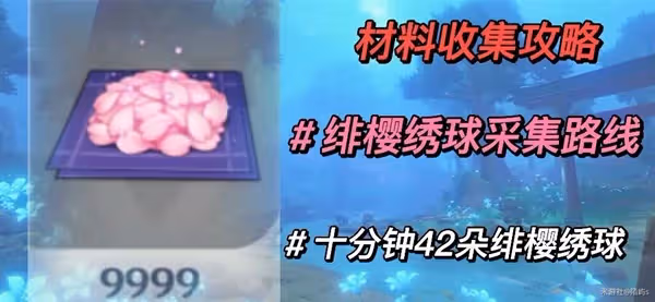 《原神》神里綾人突破材料緋櫻繡球收集攻略