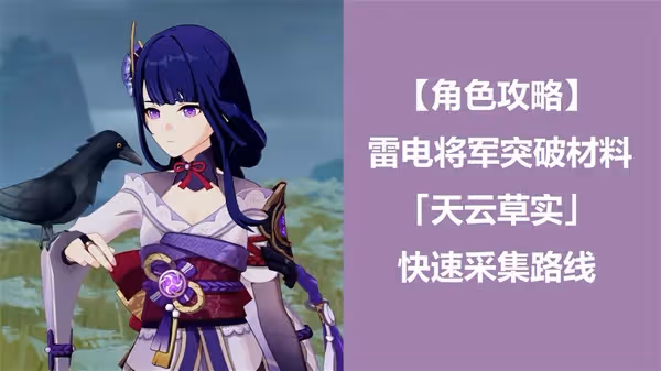 《原神》雷電將軍突破材料天雲草實採集路線