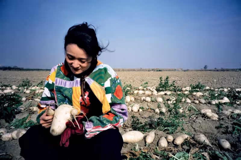 不拿前夫一毛錢!譚艾珍女兒離婚「淨身出戶不要贍養費」 親曝背後原因「真的不是我笨」