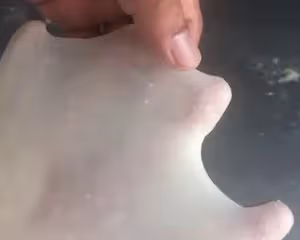 純蜂蜜吐司（普通國產小麥粉）