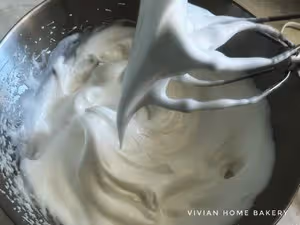 魯邦棄種檸檬黑巧戚風蛋糕-消耗棄種