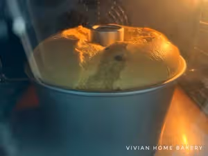 魯邦棄種檸檬黑巧戚風蛋糕-消耗棄種