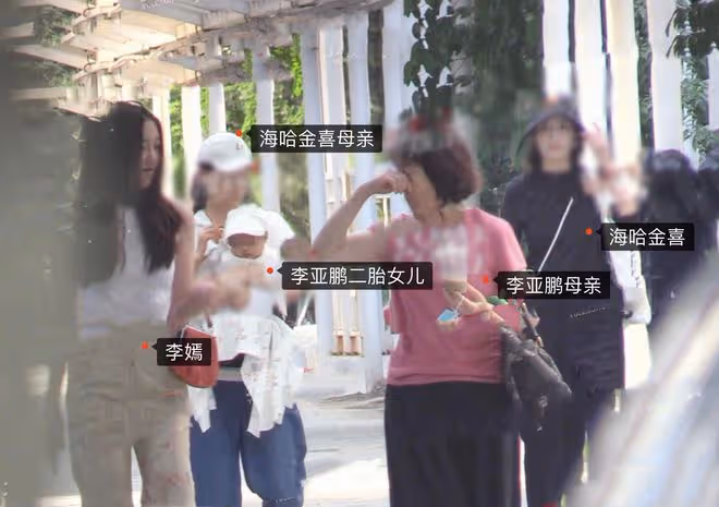 16歲李嫣寒假回國，李亞鵬分享接機視頻，感慨女兒怎麼這麼好看