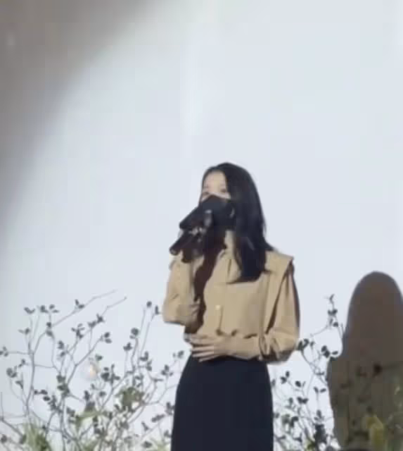 D社曝李鍾碩IU相戀，在聖誕節赴日本約會，更多戀愛蛛絲馬跡被扒