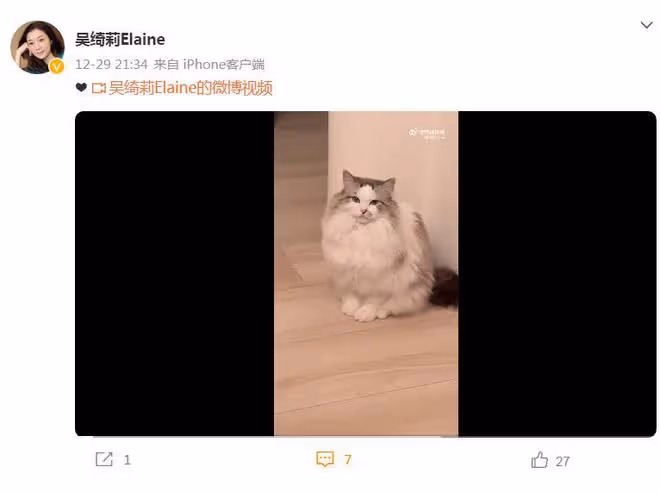 吳綺莉獨自迎新年，和寵物貓一起過生活，女兒吳卓林繼續叛逆