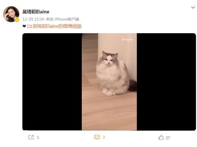 吳綺莉獨自迎新年,和寵物貓一起過生活,女兒吳卓林繼續叛逆