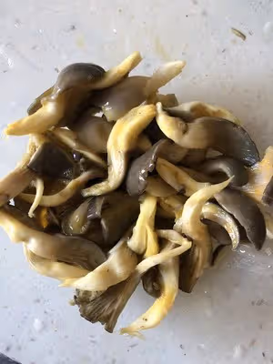 簡單的炸平菇蘑菇（空氣炸鍋）