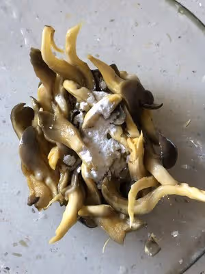 簡單的炸平菇蘑菇（空氣炸鍋）