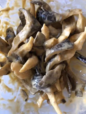 簡單的炸平菇蘑菇（空氣炸鍋）