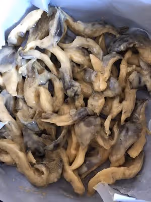 簡單的炸平菇蘑菇（空氣炸鍋）