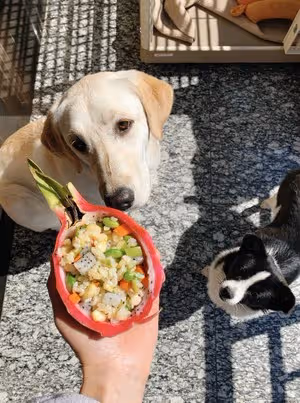 🔥火龍果炒飯｜家常版寶寶👶也能吃