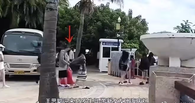 王思聰慶祝35歲生日:蛋糕氣派現場有煙花表演,專業廚師製作美食