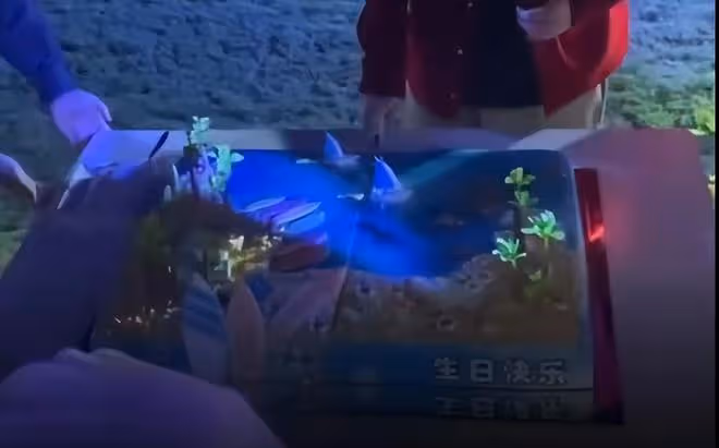 王思聰慶祝35歲生日:蛋糕氣派現場有煙花表演,專業廚師製作美食
