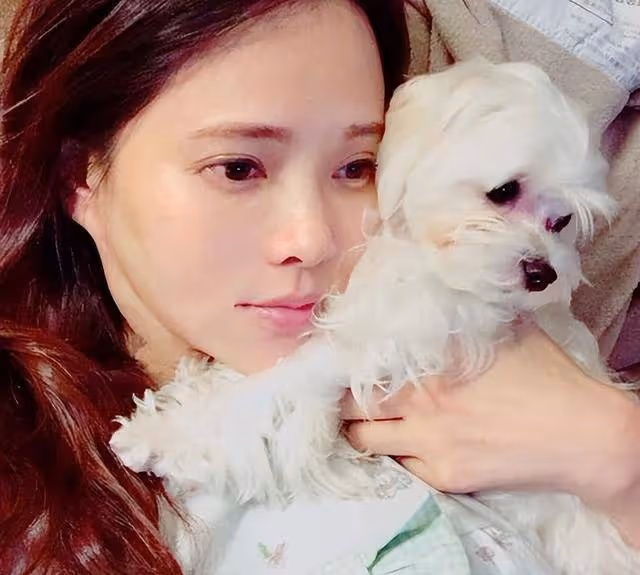 經歷悲劇的童年,卻用愛治癒孩子,伊能靜把異裝癖的哈利送上巔峰