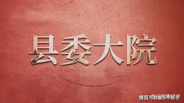 《縣委大院》在村幹部群體中,梁三寶是傳統型,林志為是理想型